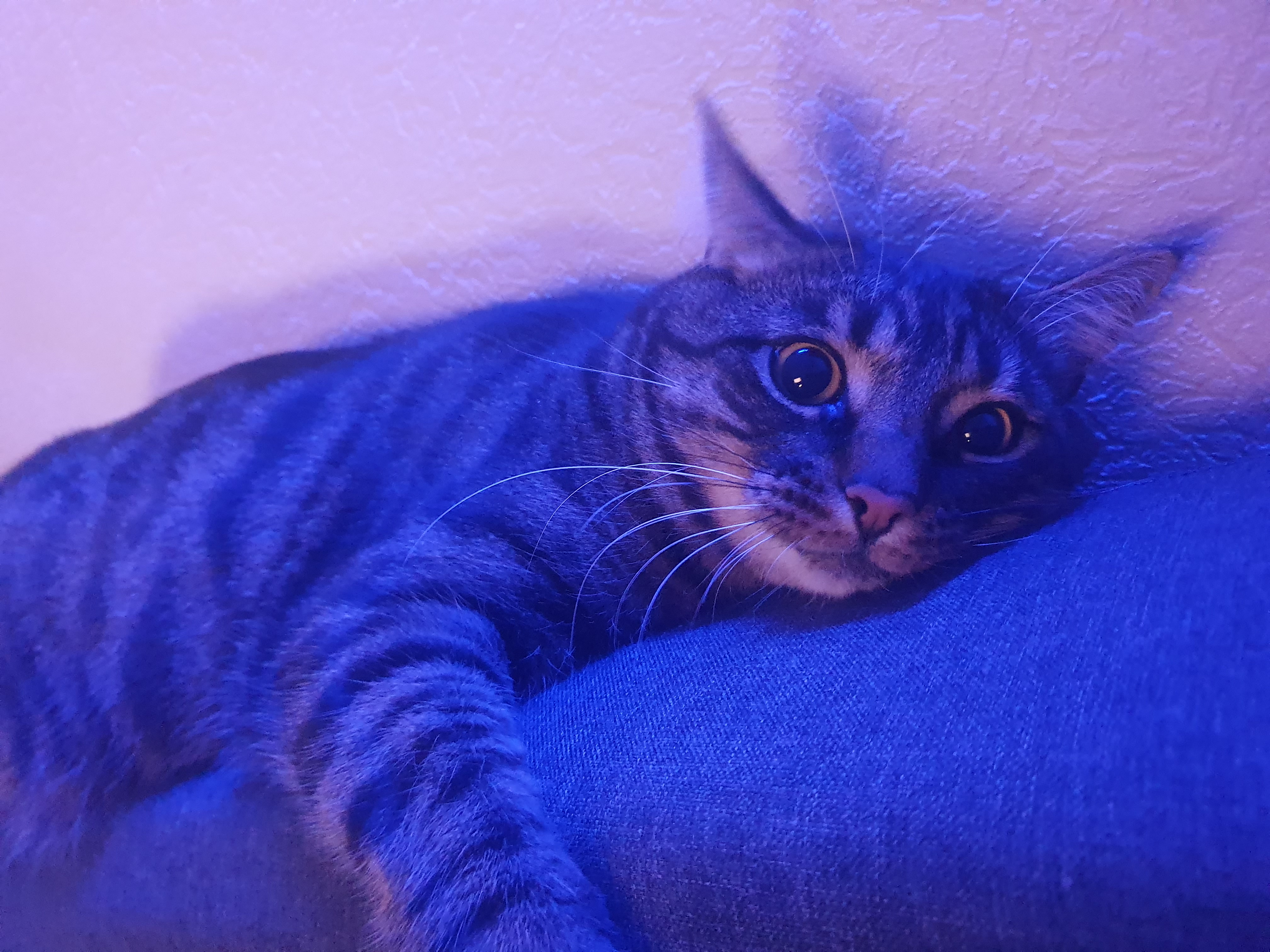 20241204_231930.jpg